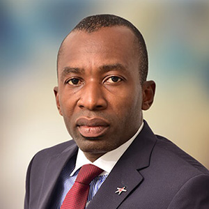 NBCC Executive Council
                                -Dr. Sola Obabori, Chairman, Agriculture and Export Group